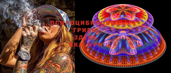 ПСИЛОЦИБИНОВЫЕ ГРИБЫ Семикаракорск