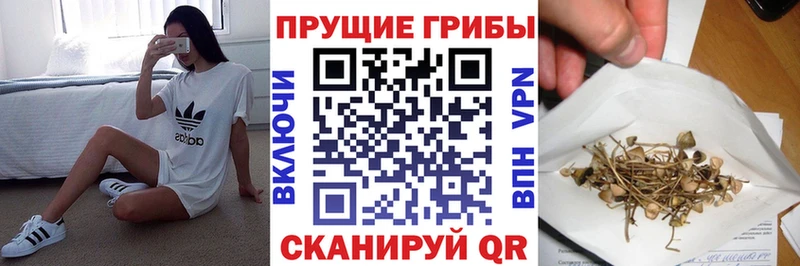 Псилоцибиновые грибы Magic Shrooms Камышлов