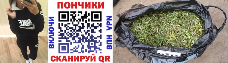 Шишки марихуана OG Kush Камышлов